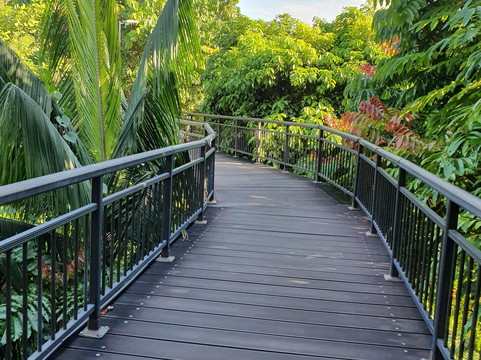 Kent Ridge Park-新加坡必去景点
