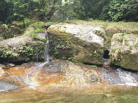 Ha Giang Primitive Tour-Viet Quang必去景点