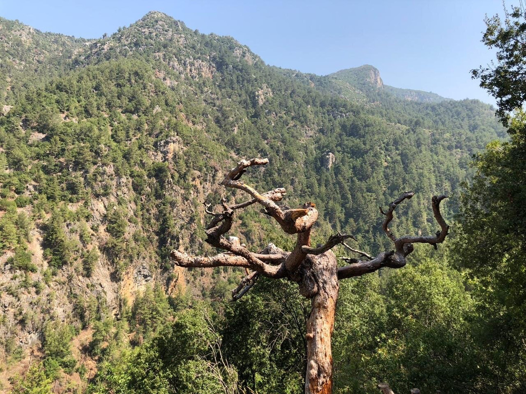 Chouane Lake-Chouaneh必去景点