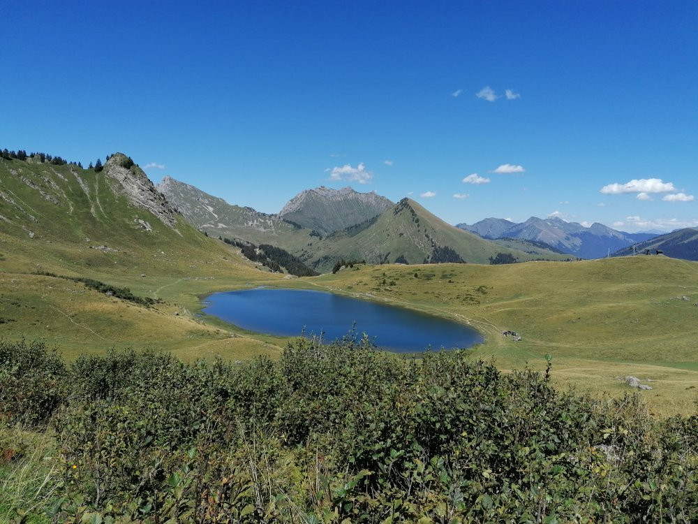 Praz de Lys Sommand景点图片