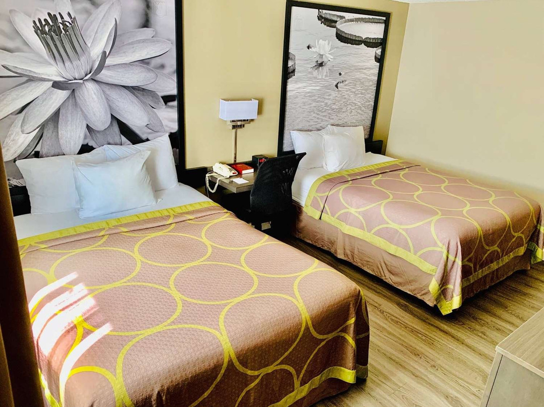 Super 8 by Wyndham Gainesville I-75 Hospital/University Area主图