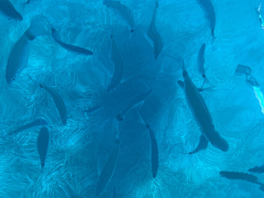 Bateauloc-Agay必去景点