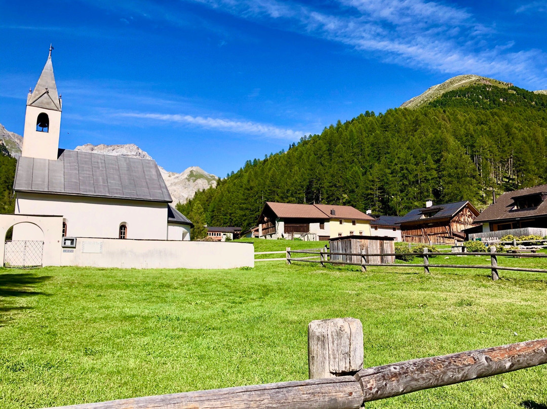 Alpengasthof Crusch Alba Ed Alv主图