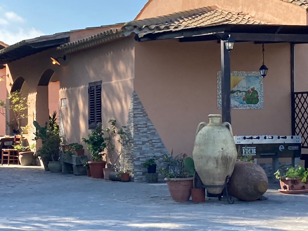 Le Terre di San Domenico主图