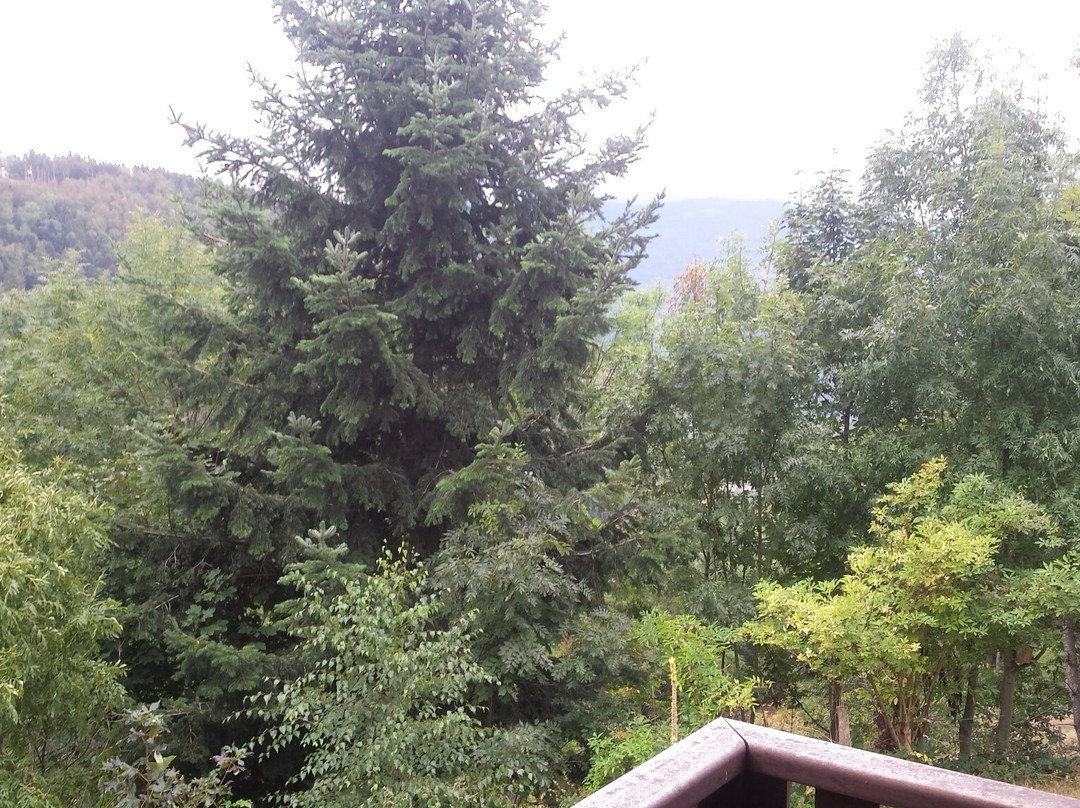 米尔巴舍尔客栈主图