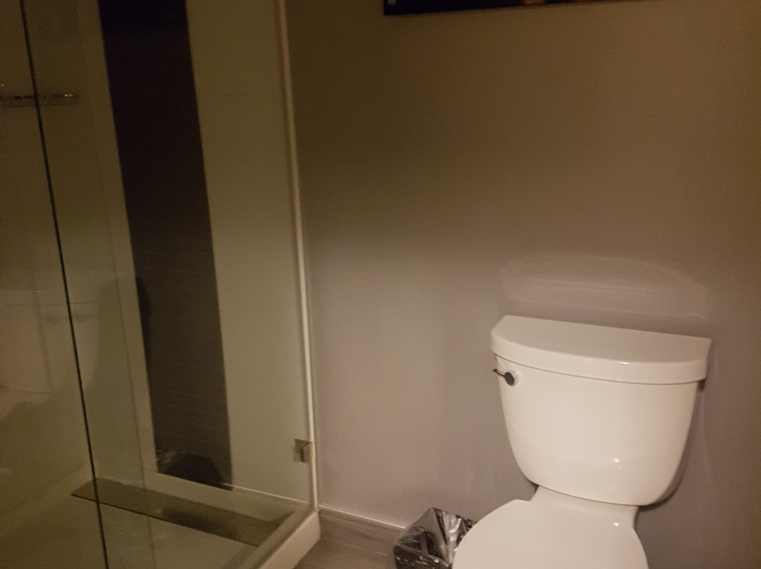 TownePlace Suites by Marriott Saskatoon主图