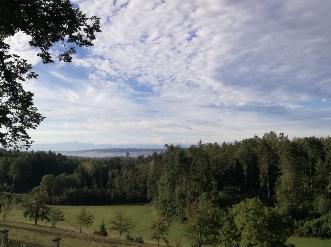 Schloss Freudental主图