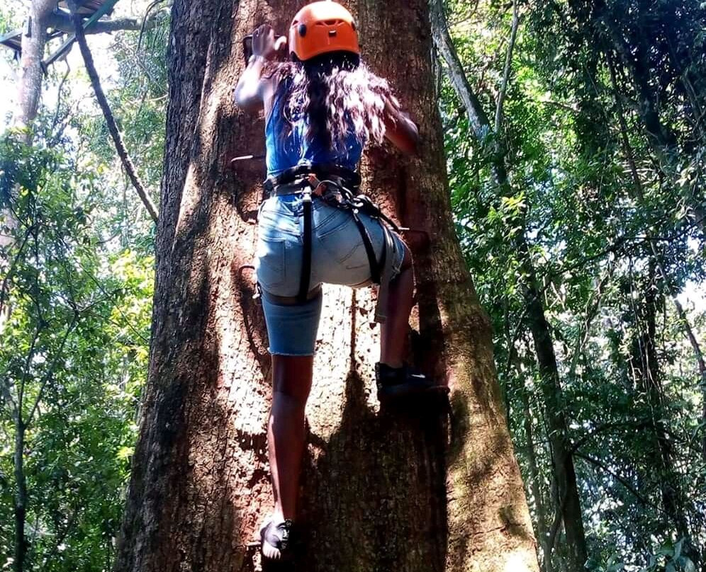Mabira Central Forest Reserve-Mabira必去景点