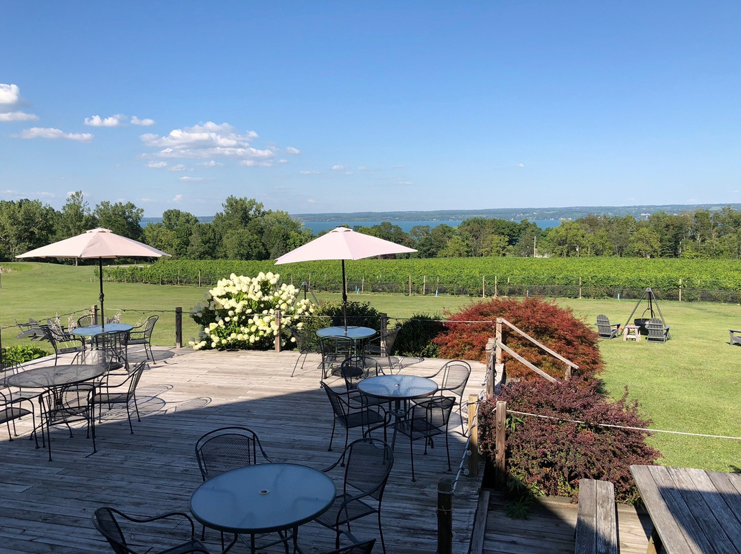 Buttonwood Grove Winery景点图片