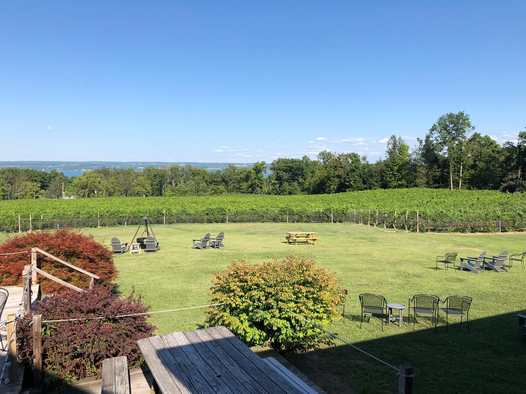 Buttonwood Grove Winery景点图片