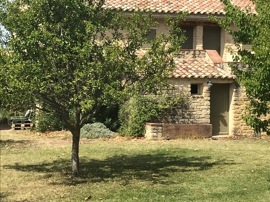 Gîtes de mas caron主图