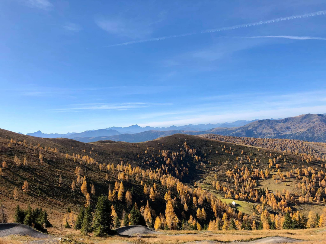 Hotel Almrausch主图