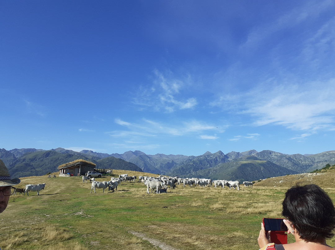 Plateau de Beille景点图片