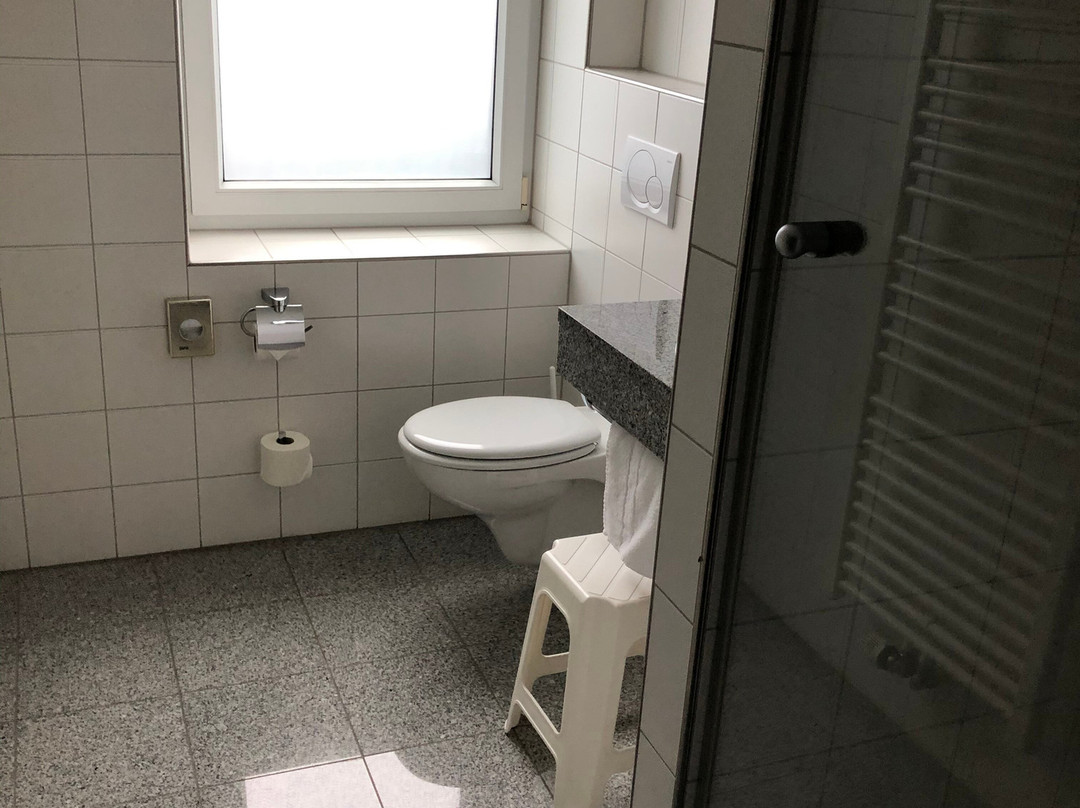 Best Western Hotel Heidehof主图