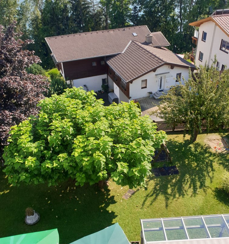 Hotel Bellevue主图