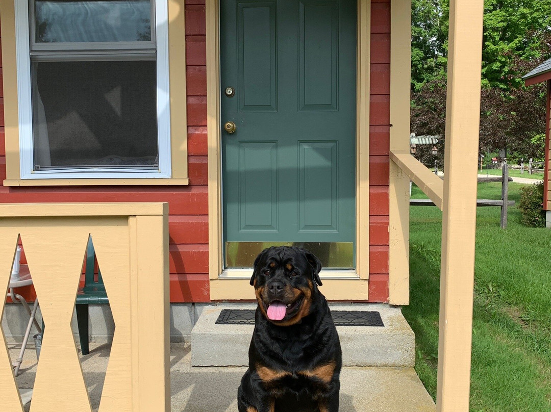 Casablanca Motel主图