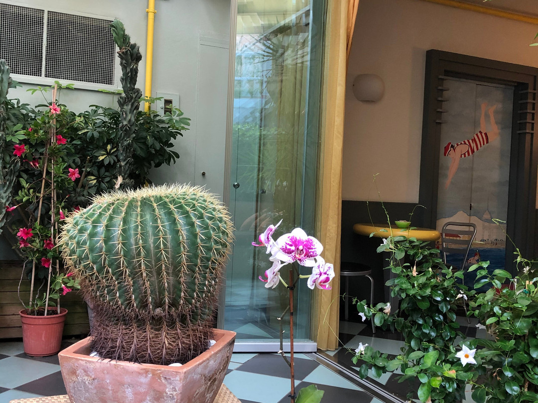 蒂雷尼亚酒店主图