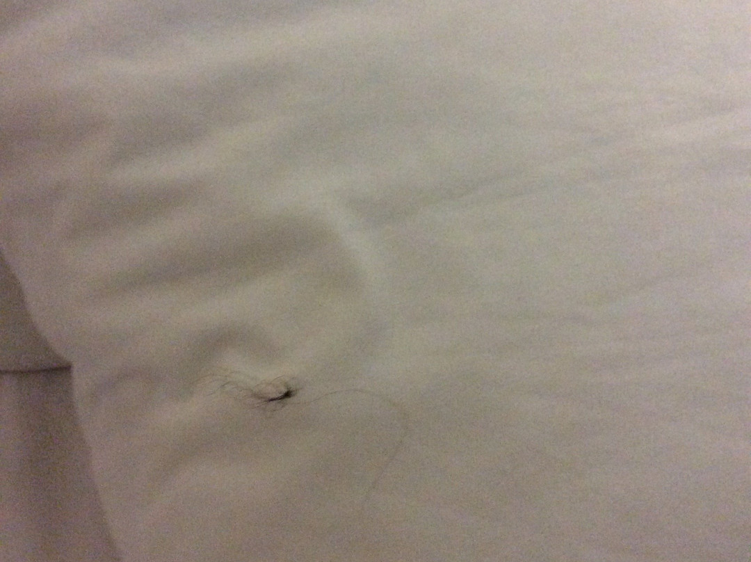 登顿费尔菲尔德旅馆&套房酒店主图