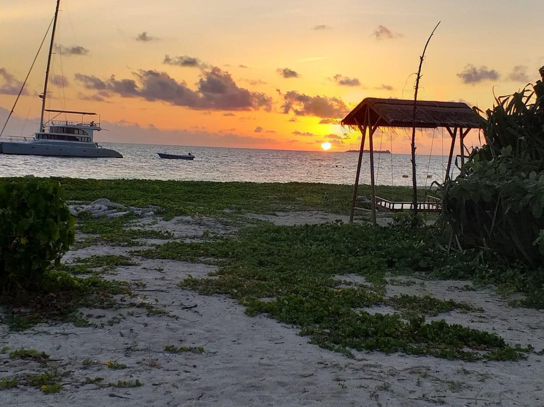 Goby Lodge guest house主图