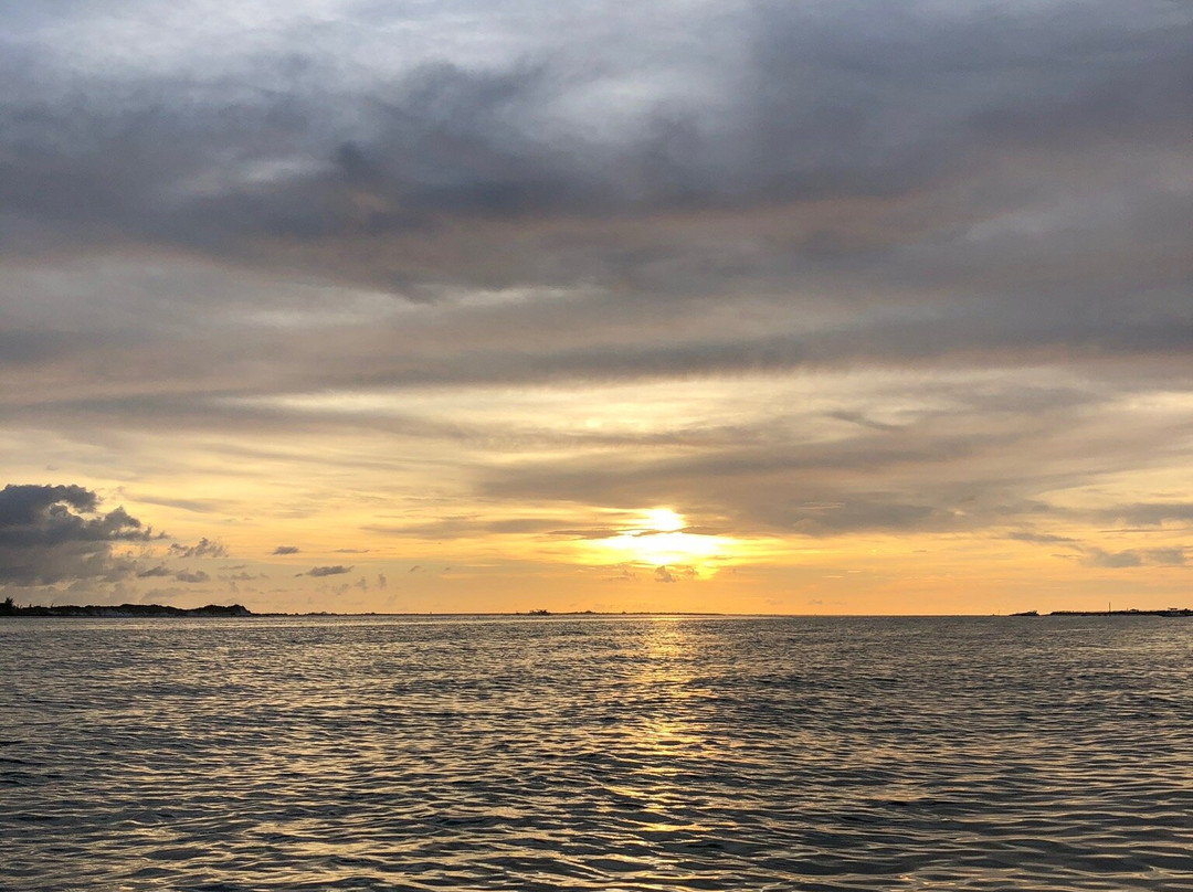 Sandy Feet Kayak Rental-帕姆港必去景点