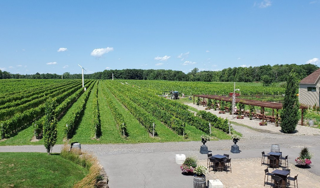 Vignoble Rivière du Chêne Winery-Saint-Eustache必去景点