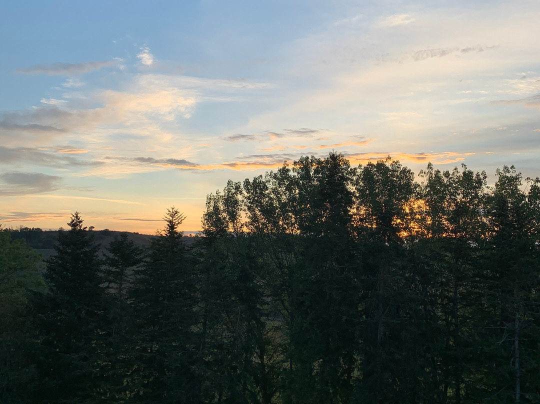 2024年2月Sanssat旅游景点攻略Sanssat旅游住宿,Sanssat旅游美食猫途鹰