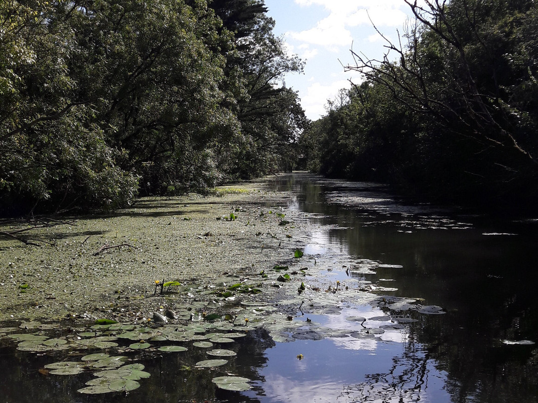 Objectif Marais Poitevin景点图片