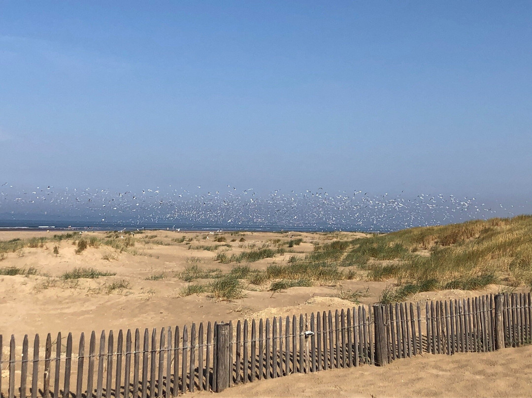 Brit Hotel Saint Nazaire Centre Gare主图