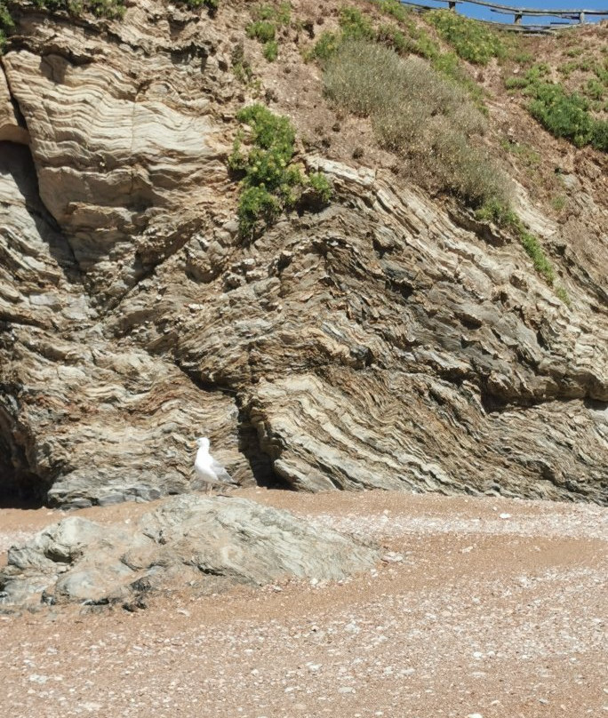 Plage des Bussoleries-Saint-Hilaire-de-Riez必去景点