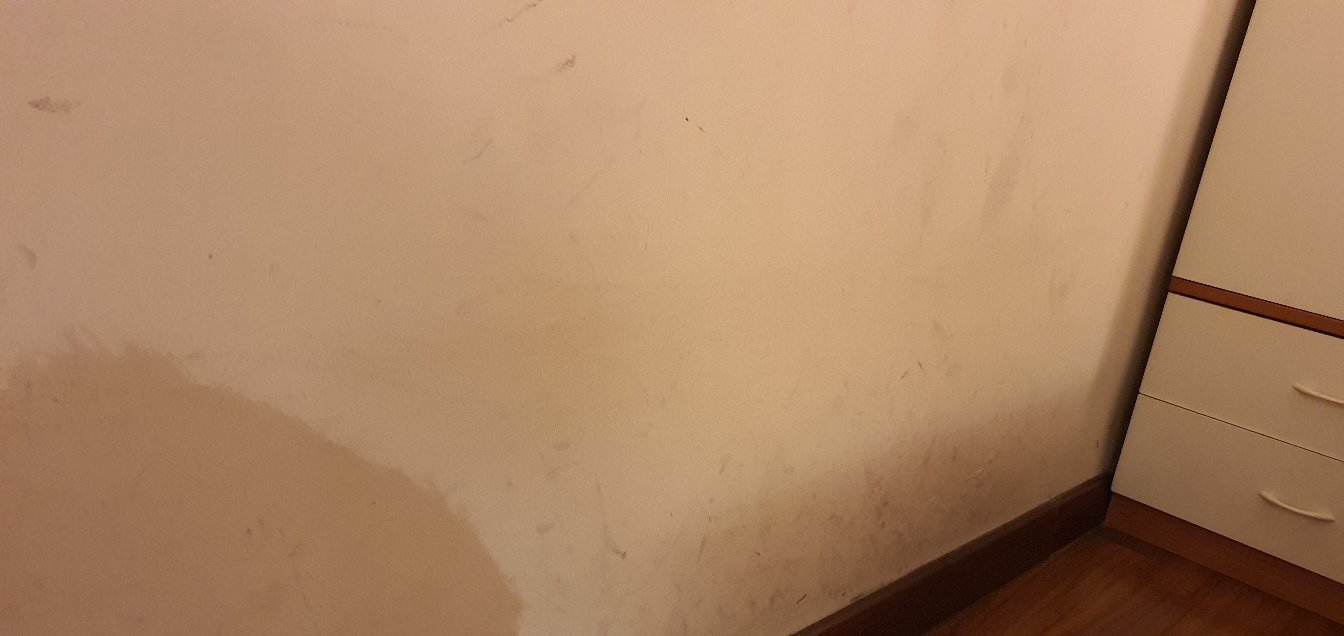 Rex Hotel Residence-官方