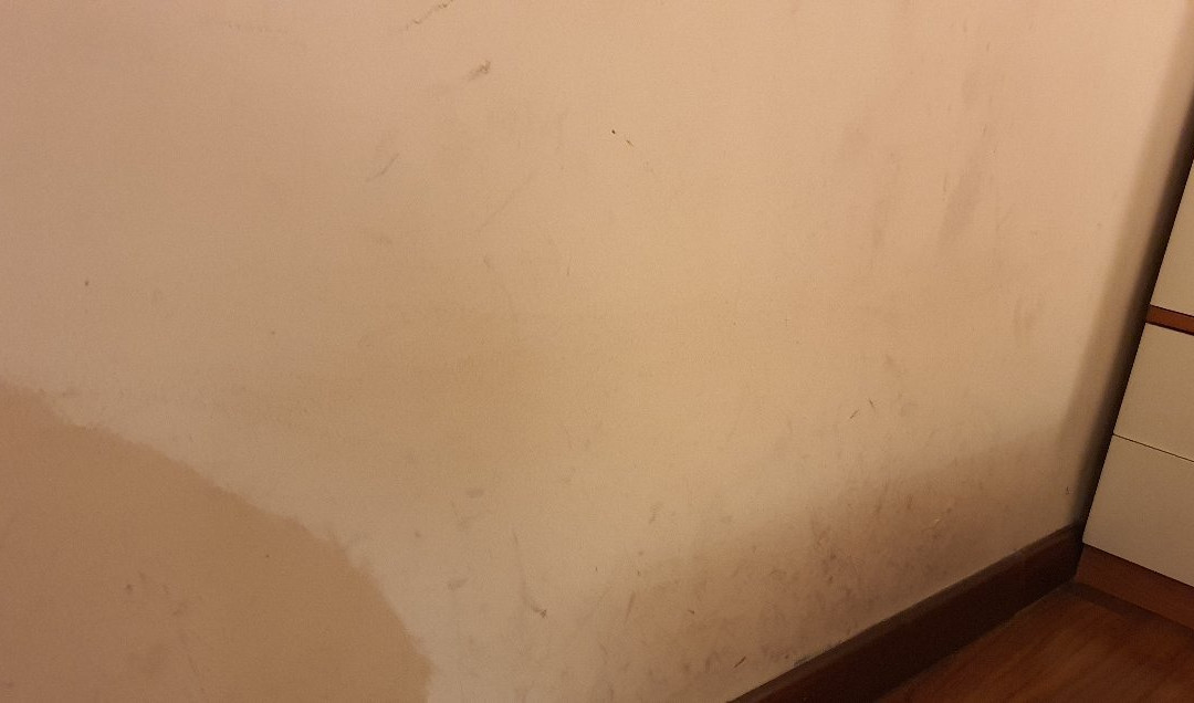 Rex Hotel Residence主图