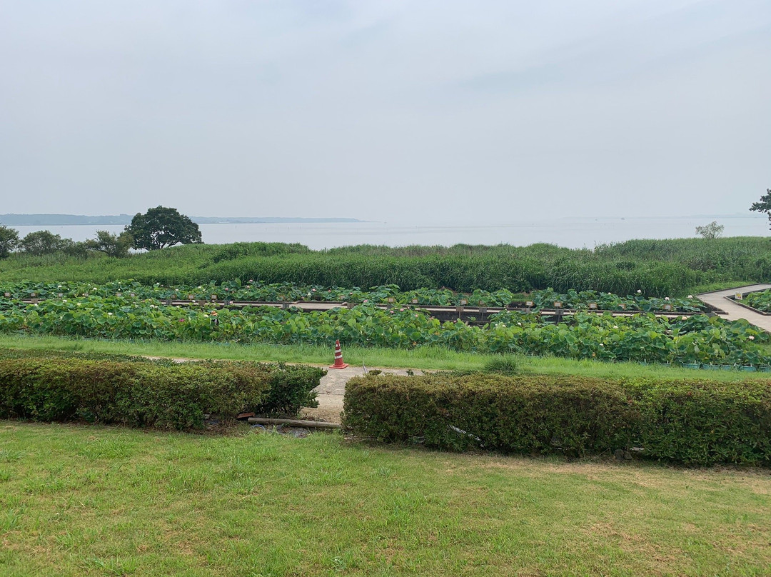 Kasumigaura General Park-土浦市必去景点