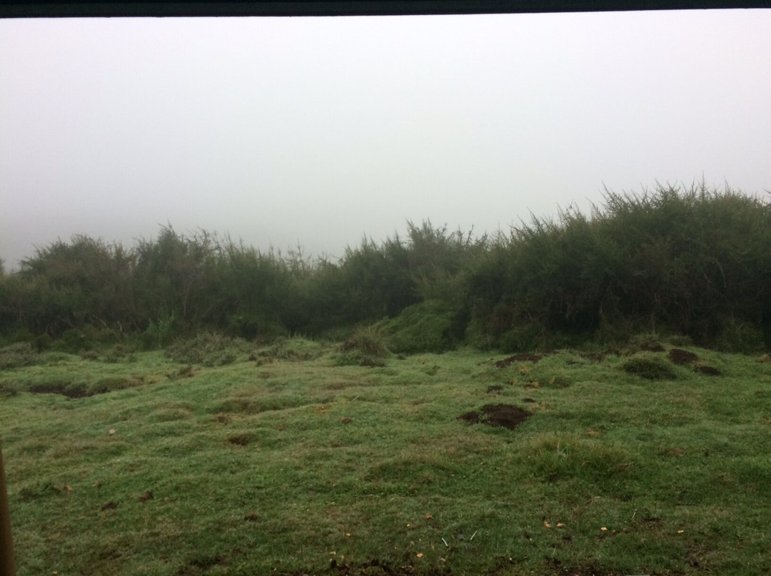 The Fishing Lodge Guest House主图