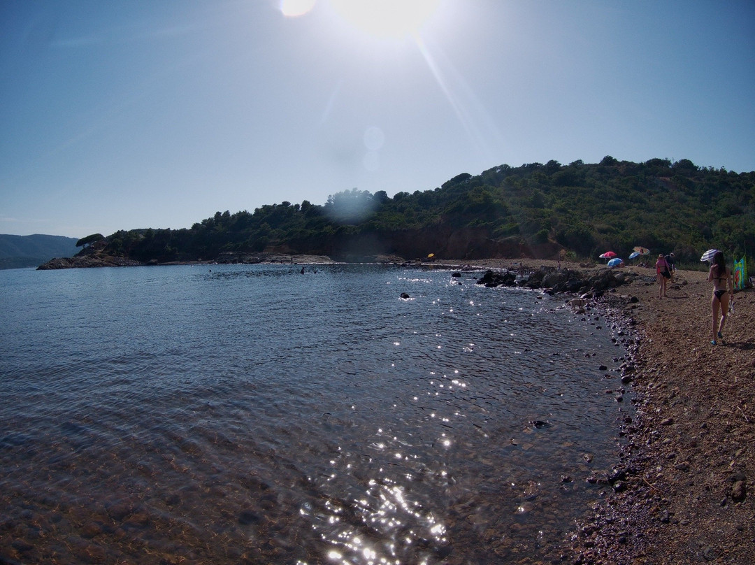 Spiaggia di Terranera景点图片