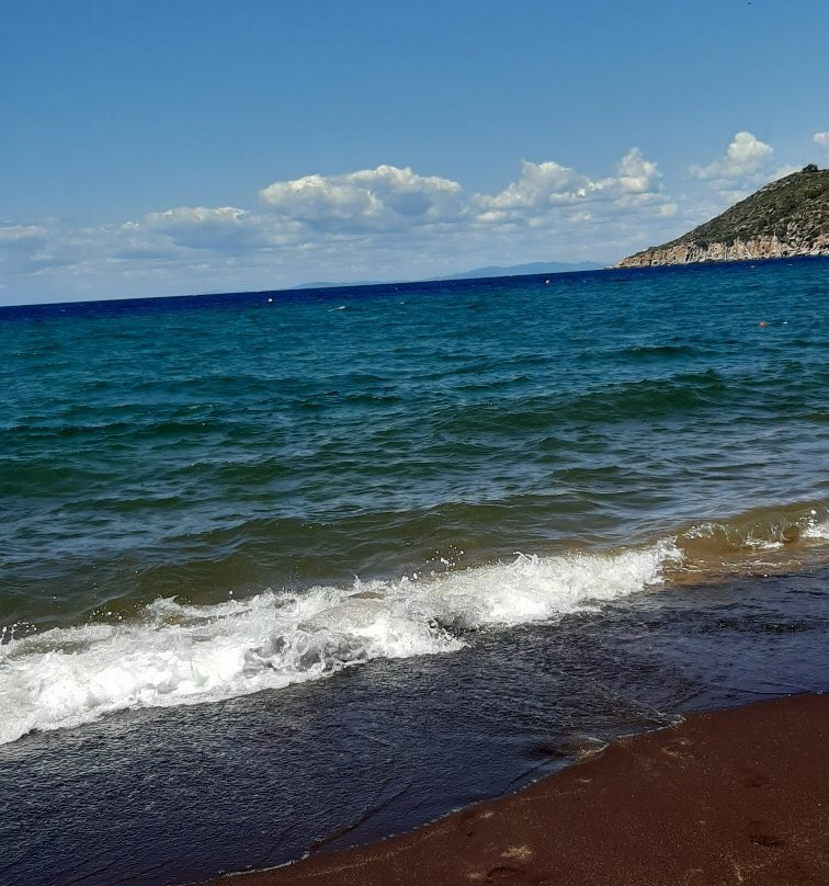 Bagno Il Delfino-Isola del Giglio必去景点