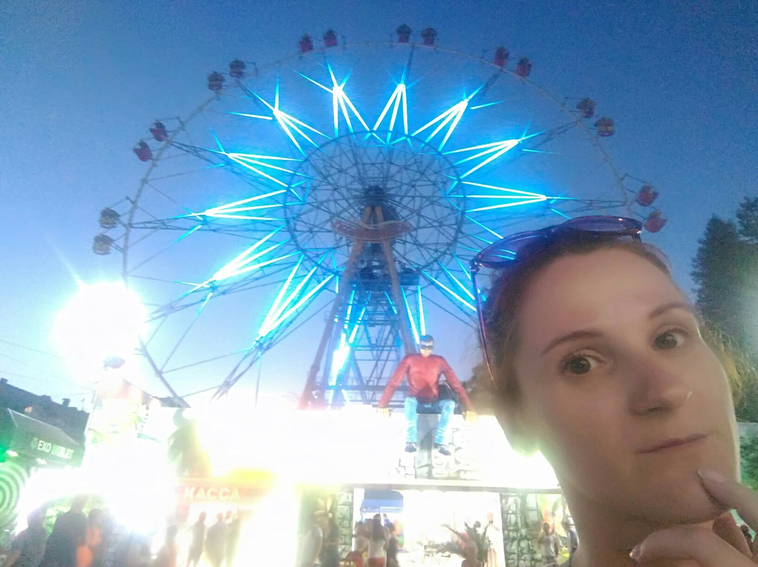 Ferris Wheel景点图片