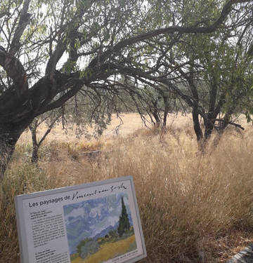 Van Gogh Walk-圣雷米必去景点