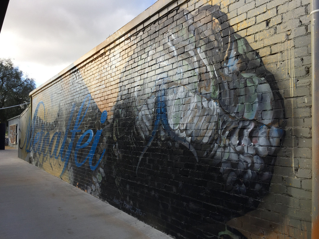 Sirum Snake Mural-Woomelang必去景点