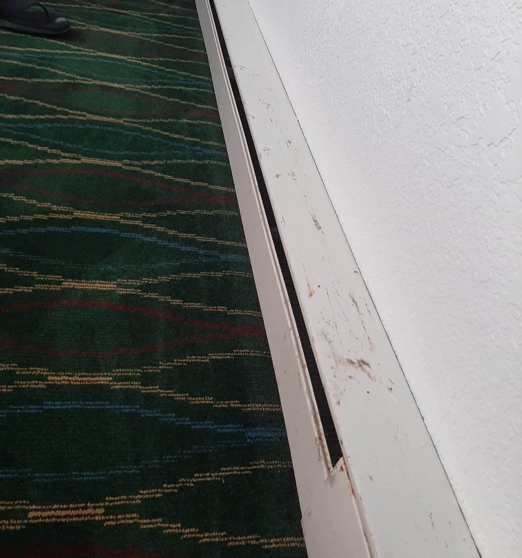 Bayview Motel Lakefront主图