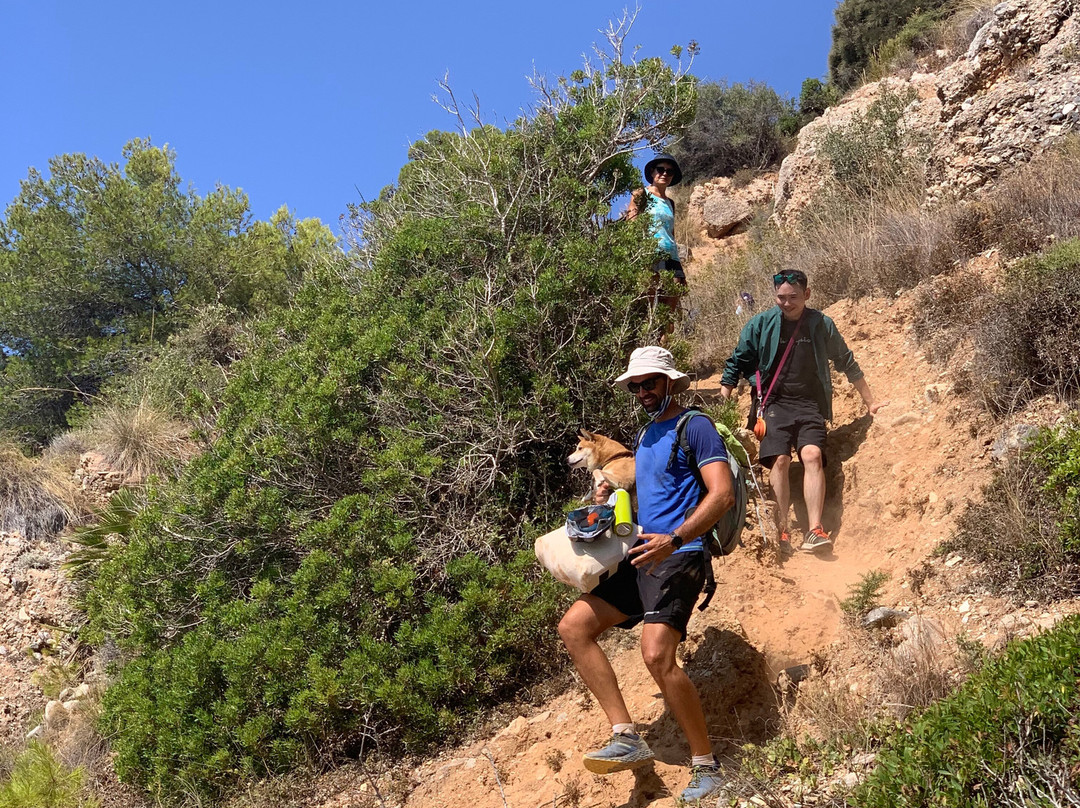 MÁLAGA ACTIVA TOURS-马拉加必去景点