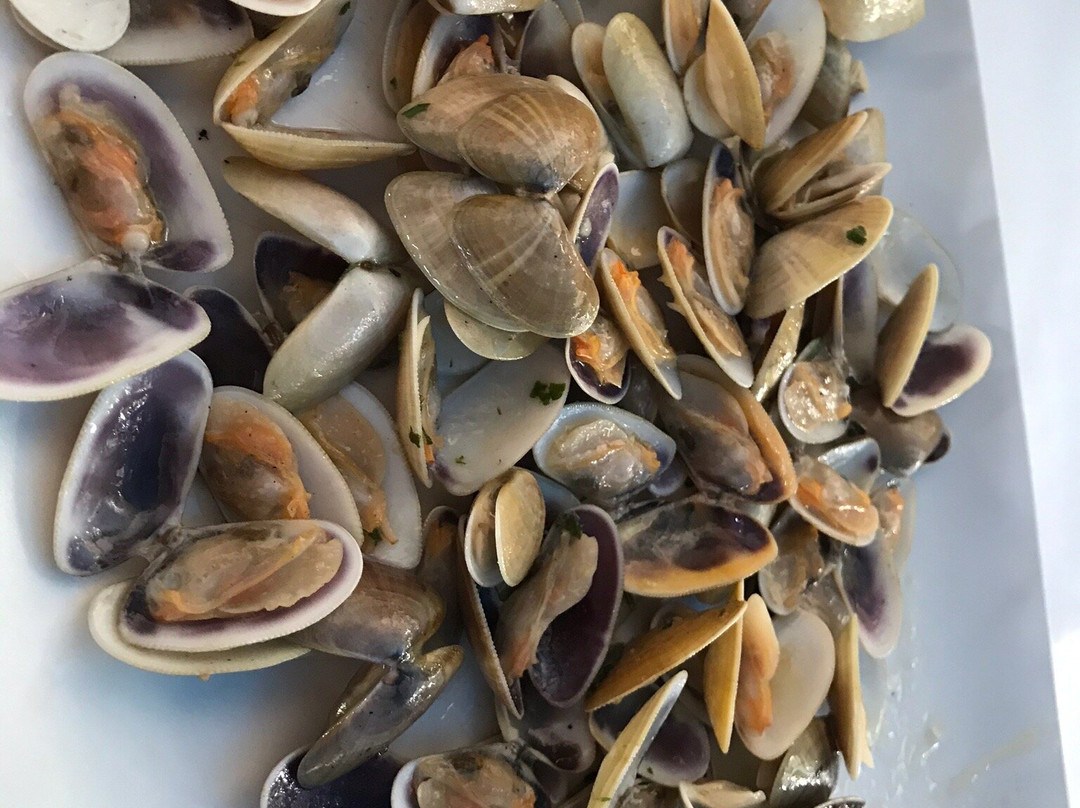 Hotel Playa Canet主图