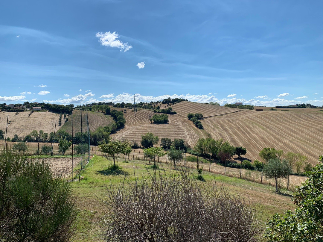 Gaia-Bed and Breakfast主图