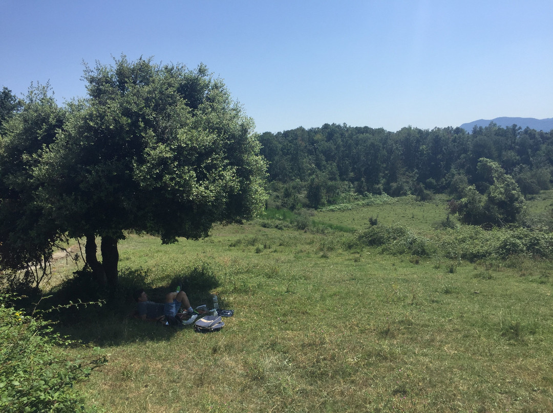 Finca El Ventos主图