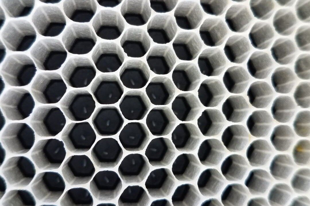 BayBees Honey, LLC-Whaleyville必去景点