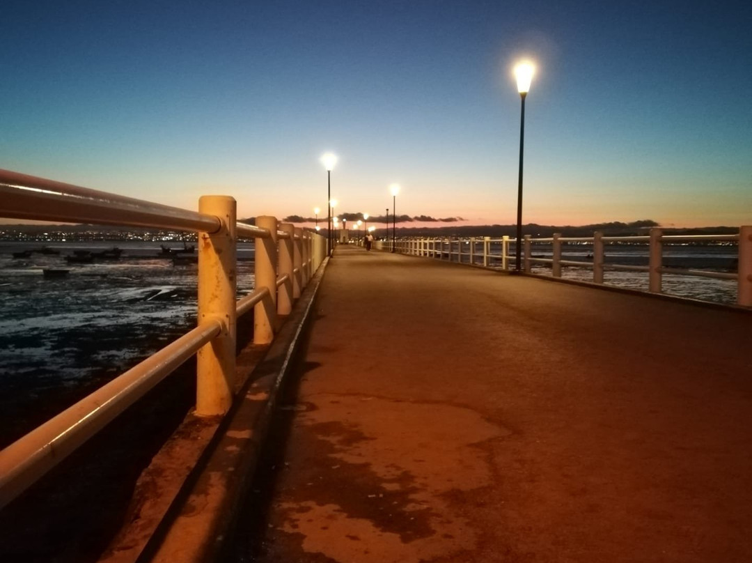 Pontao de Alcochete-阿尔科谢蒂必去景点