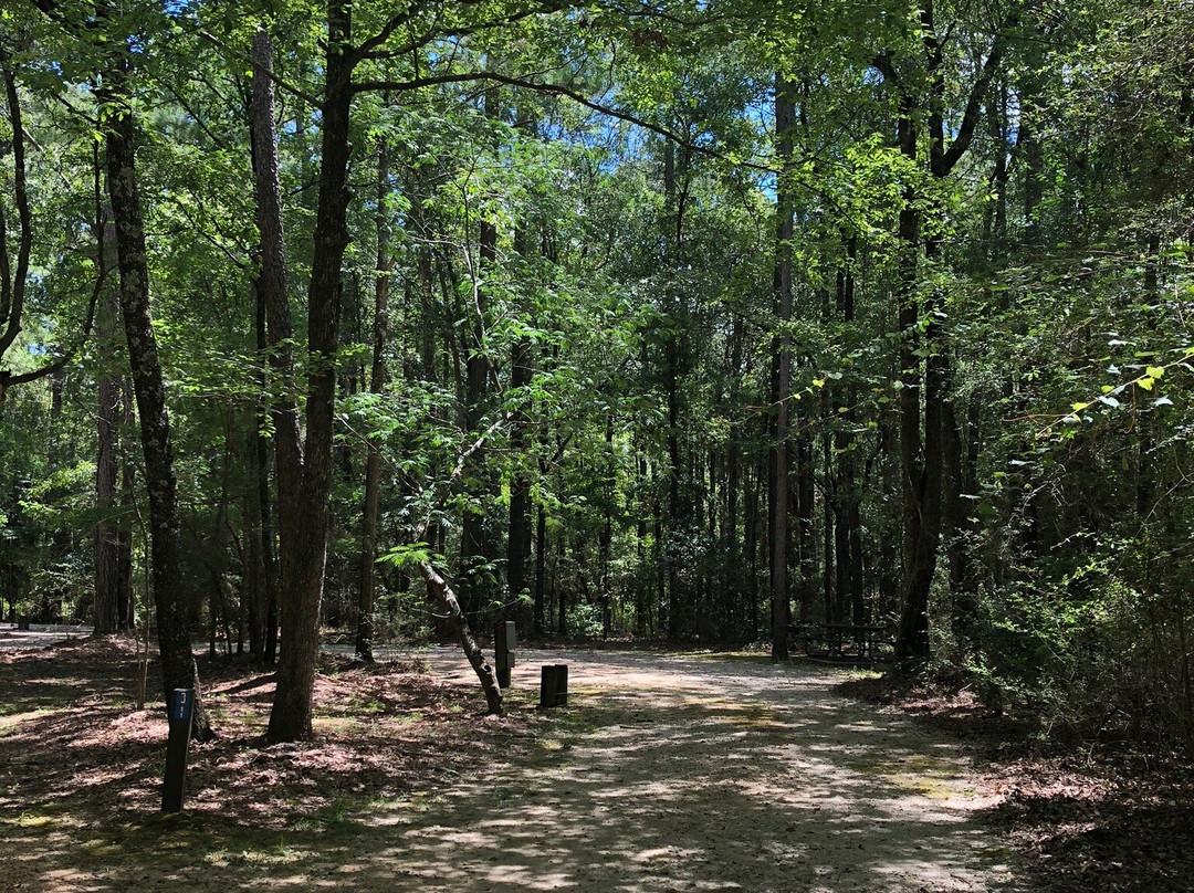 Chickasabogue Park Alabama景点图片
