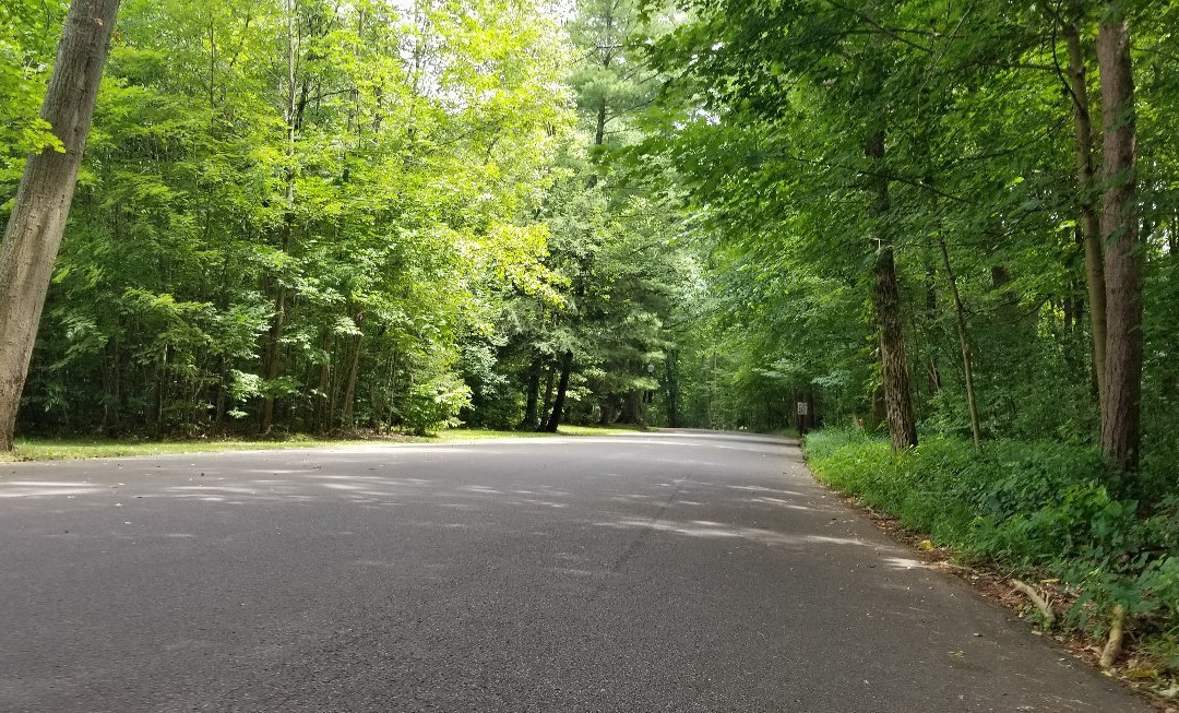 Buhl Farm Park景点图片