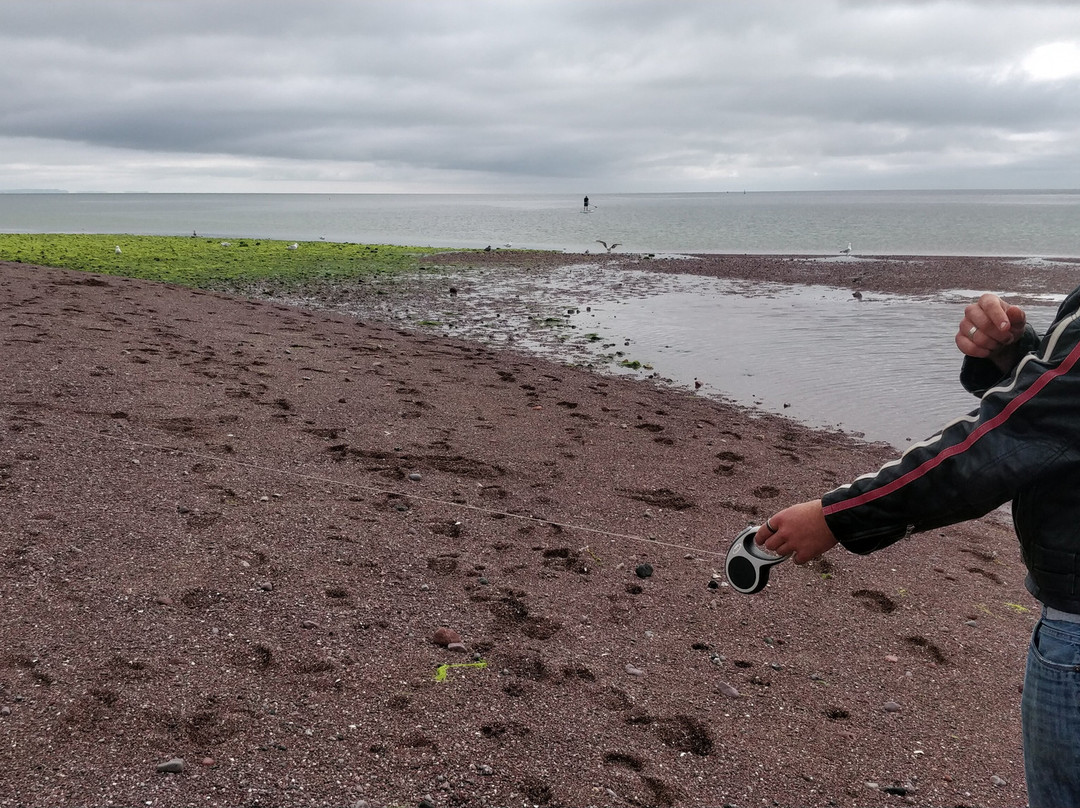 The Minadab Cottage主图