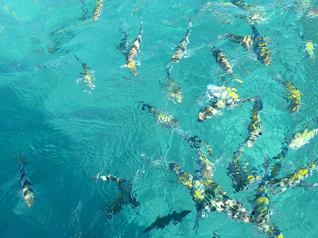 巴厘岛安缦酒店主图