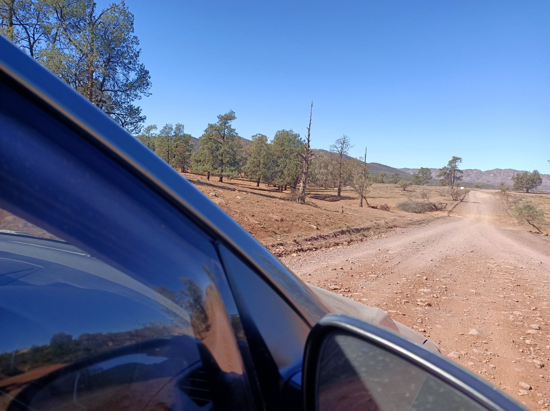 Wilpena Pound景点图片